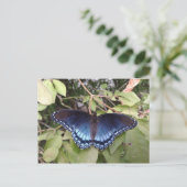 Paarse vlinder met rode vlekken, Ohio Briefkaart (Staand voorkant)