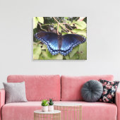 Paarse vlinder met rode vlekken, Ohio Canvas Afdruk (Insitu (Woonkamer))