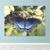 Paarse vlinder met rode vlekken, Ohio Canvas Afdruk (Insitu (Houten vloer))
