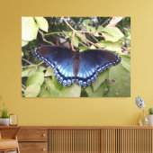 Paarse vlinder met rode vlekken, Ohio Canvas Afdruk (Insitu (Woonkamer))