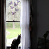 Paarse vlinders Vlindervlieg Natuur Lovers Raamsticker