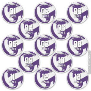 paarse volleybalteam kleurenstickers 13 atleten sticker