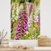 Paarse vossenhandschoen poster (Keuken)