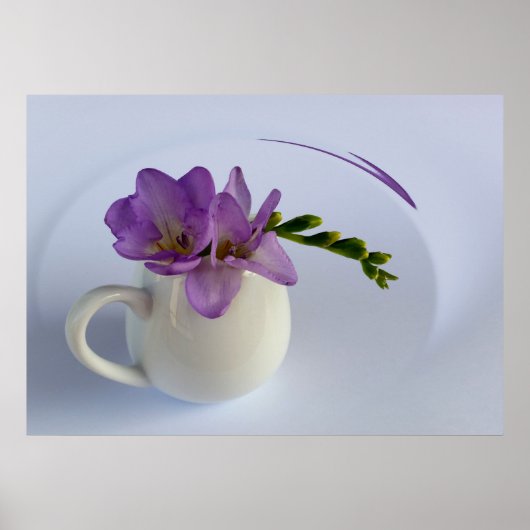 paarse vriesbloem poster (Voorkant)