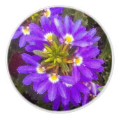 Paarse waaierbloem keramische knop (Voorkant)