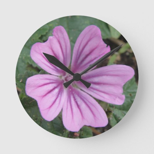 Paarse wandklok met wilde bloem (Voorkant)