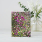 Paarse wasbloemen briefkaart (Staand voorkant)