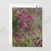 Paarse wasbloemen briefkaart (Voorkant / Achterkant)