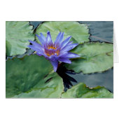 Paarse Water Lily (Voorkant Horizontaal)