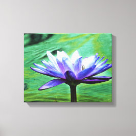 Paarse Water Lily Canvas Afdruk