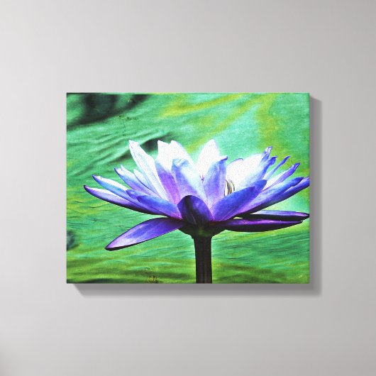 Paarse Water Lily Canvas Afdruk (Voorkant)