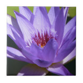 Paarse Water Lily Tegeltje (Voorkant)