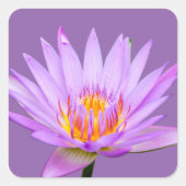 Paarse Water Lily Vierkante Sticker (Voorkant)