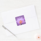 Paarse Water Lily Vierkante Sticker (Envelop)