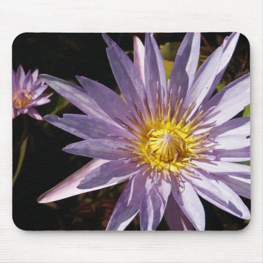 Paarse Waterlelie Mousepad Muismat (Voorkant)