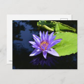 Paarse waterlelie verzamelbare Briefkaarten (Voorkant / Achterkant)