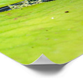 Paarse Waterlelie Vijver Poster (Hoek)