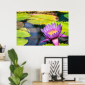 Paarse Waterlelie Vijver Poster (Thuiskantoor)