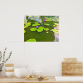 Paarse waterlelies op Green Pond Poster (Keuken)