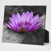 Paarse waterLily 002 Zwarte en Witte achtergrond Fotoplaat (Zijkant)