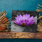 Paarse waterLily 002 Zwarte en Witte achtergrond Fotoplaat (Zijkant)