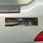 Paarse waterlily bumpersticker (Op auto)