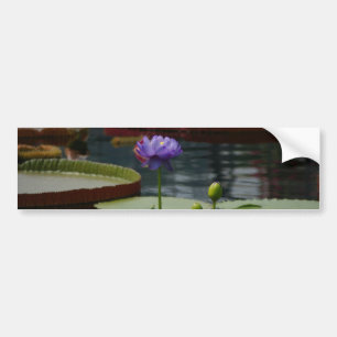 Paarse waterlily bumpersticker