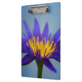 Paarse waterLily Flower Klembord (Links)