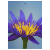 Paarse waterLily Flower Klembord (Achterkant)