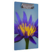 Paarse waterLily Flower Klembord (Rechts)