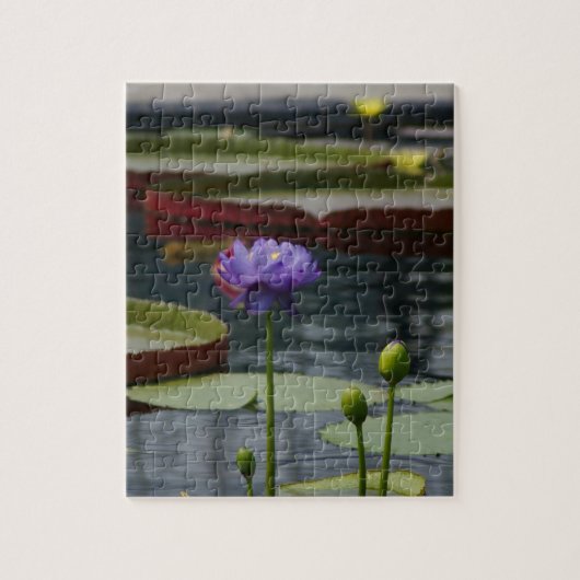 Paarse waterlily legpuzzel (Verticaal)