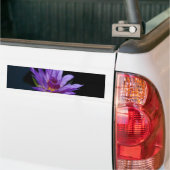 Paarse waterlily Lotus Bumpersticker (Op Truck)