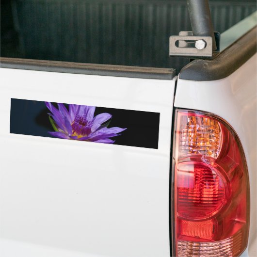 Paarse waterlily Lotus Bumpersticker (Op Truck)