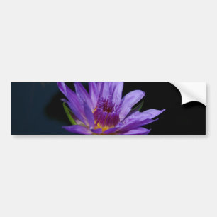 Paarse waterlily Lotus Bumpersticker