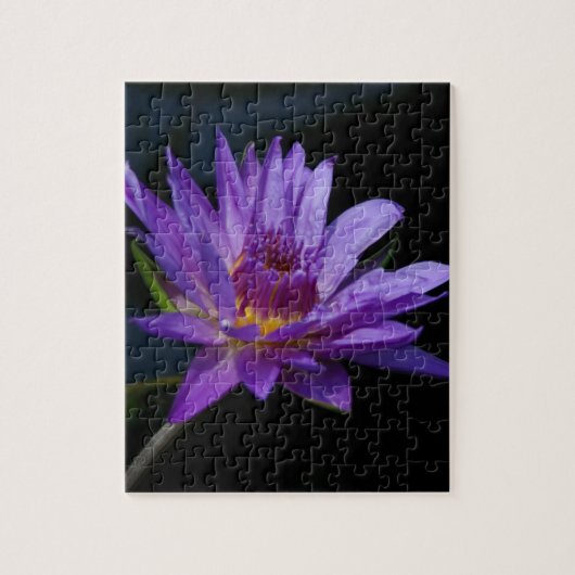Paarse waterlily Lotus Legpuzzel (Verticaal)