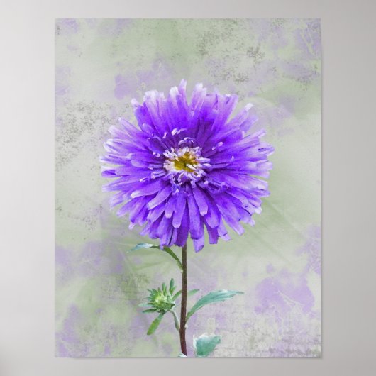 Paarse Waterverf Dahlia Poster (Voorkant)