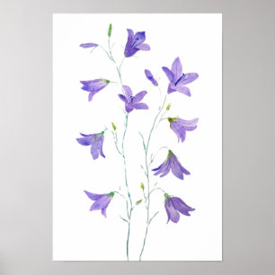 paarse waterverf van wilde bloemen poster
