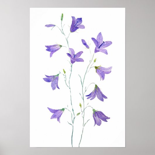 paarse waterverf van wilde bloemen poster (Voorkant)