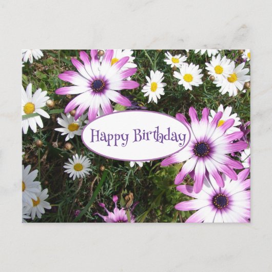 Paarse White Daisy Flower Garden Happy Birthday Briefkaart (Voorkant)
