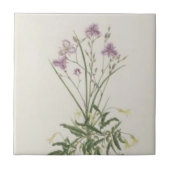  Paarse Wildbloemen Tile Tegeltje (Voorkant)