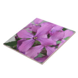 Paarse Wildbloemen Tile Tegeltje