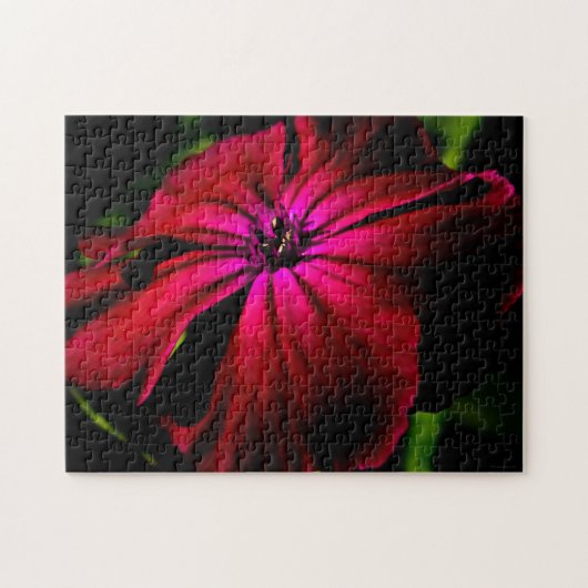 Paarse Wilde Bloem 11x14 252pc jpcnm Legpuzzel (Horizontaal)