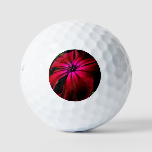 Paarse Wilde Bloem be6 gbcna Golfballen (Voorkant)