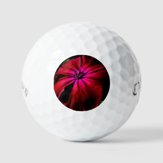 Paarse Wilde Bloem css gbcnm Golfballen (Voorkant)