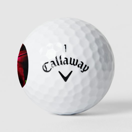 Paarse Wilde Bloem cwb gbcna Golfballen (Logo)