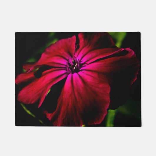 Paarse Wilde Bloem dmcnm Deurmat (Voorkant)