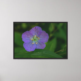 Paarse wilde bloem opgerekt canvasprint canvas afdruk