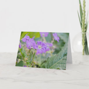 Paarse wilde bloem paarse ooievaarsbek bloemenfoto kaart