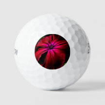 Paarse Wilde Bloem ssf gbcnm