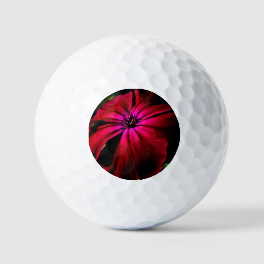 Paarse Wilde Bloem va gbcnm Golfballen (Voorkant)